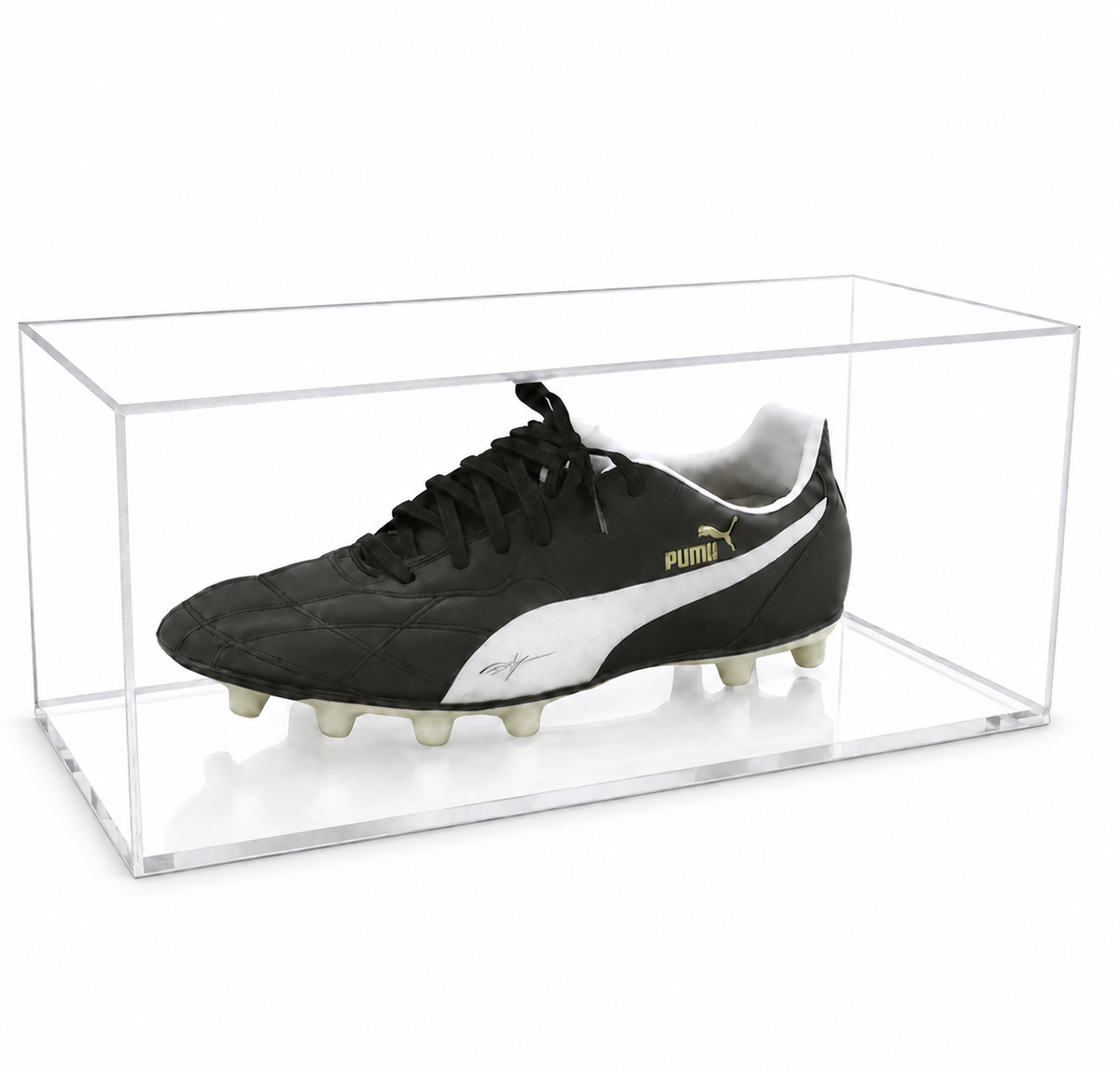 Collectable Shoe Display Case - Single with clear acrylic base on a white background