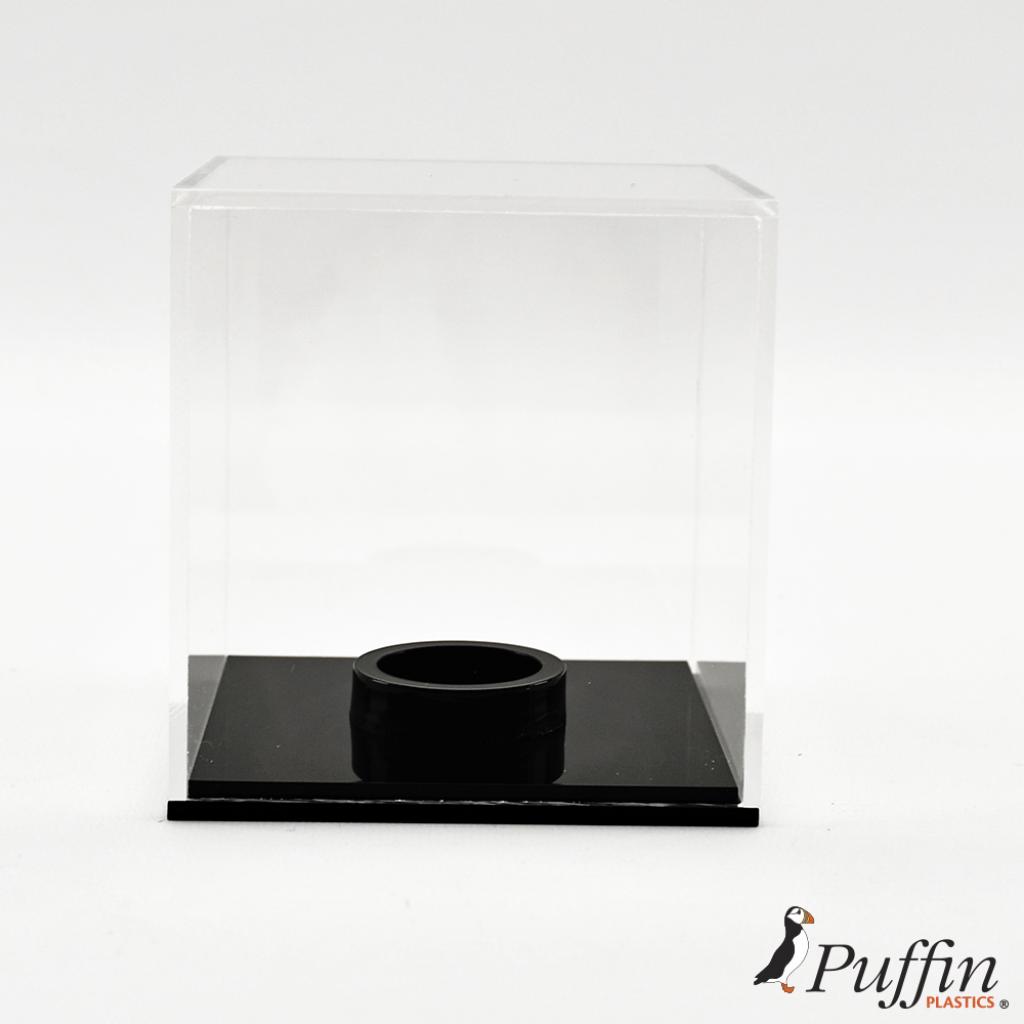 Cricket/Tennis Ball Display Case – additional product view