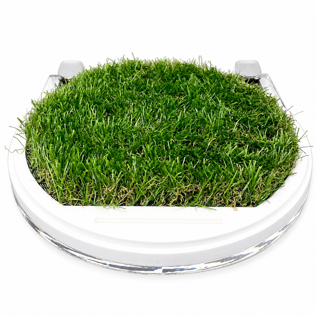 Cylindrical Football Display Case circular grass base and fittings on a white background