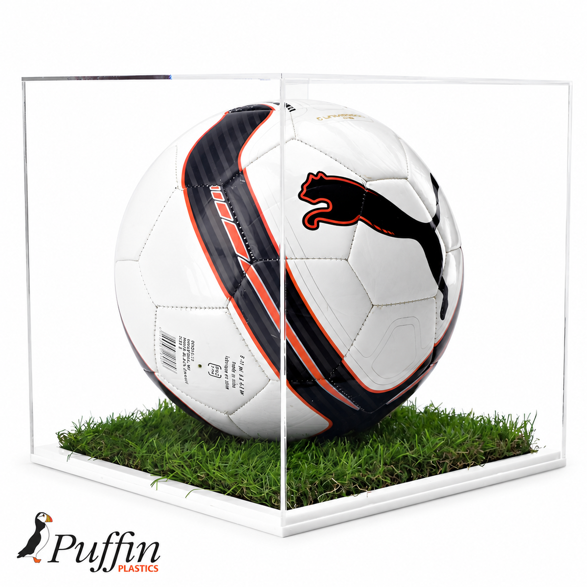 Football Display Case - 10MM White Grass Effect Base with football on a white background