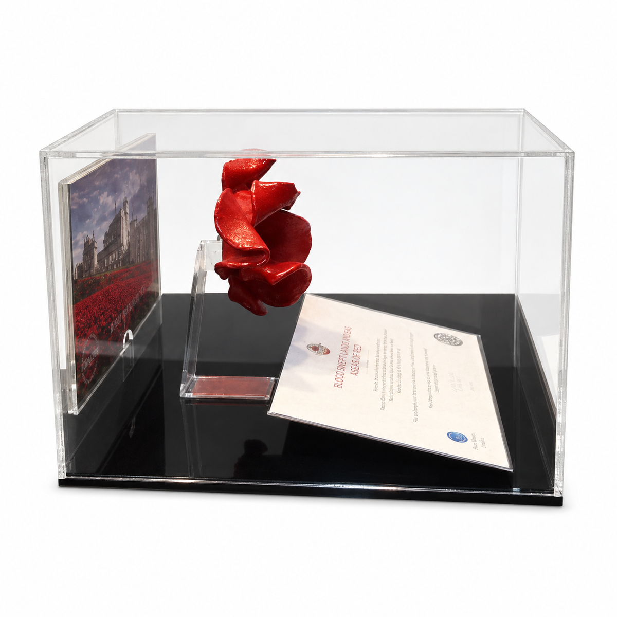 Poppy Display Case with clear poppy holder, side view on a white background