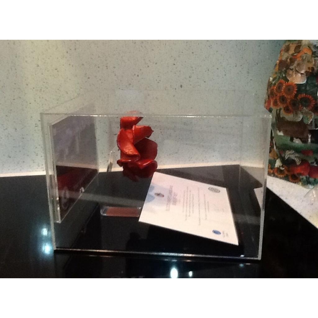 Poppy Display Case – additional product view