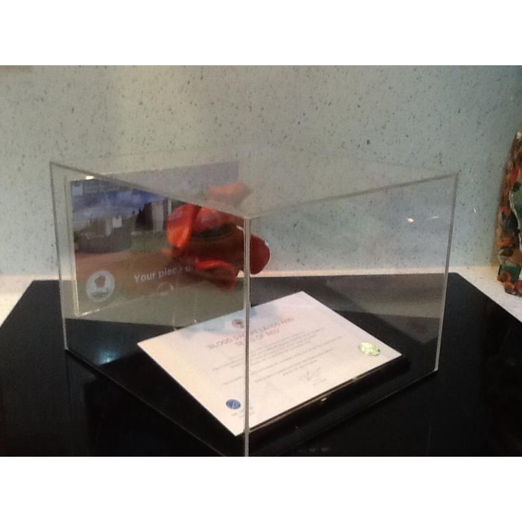 Poppy Display Case – additional product view
