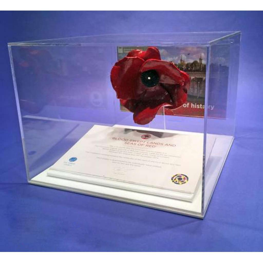 Poppy Display Case - White – additional product view