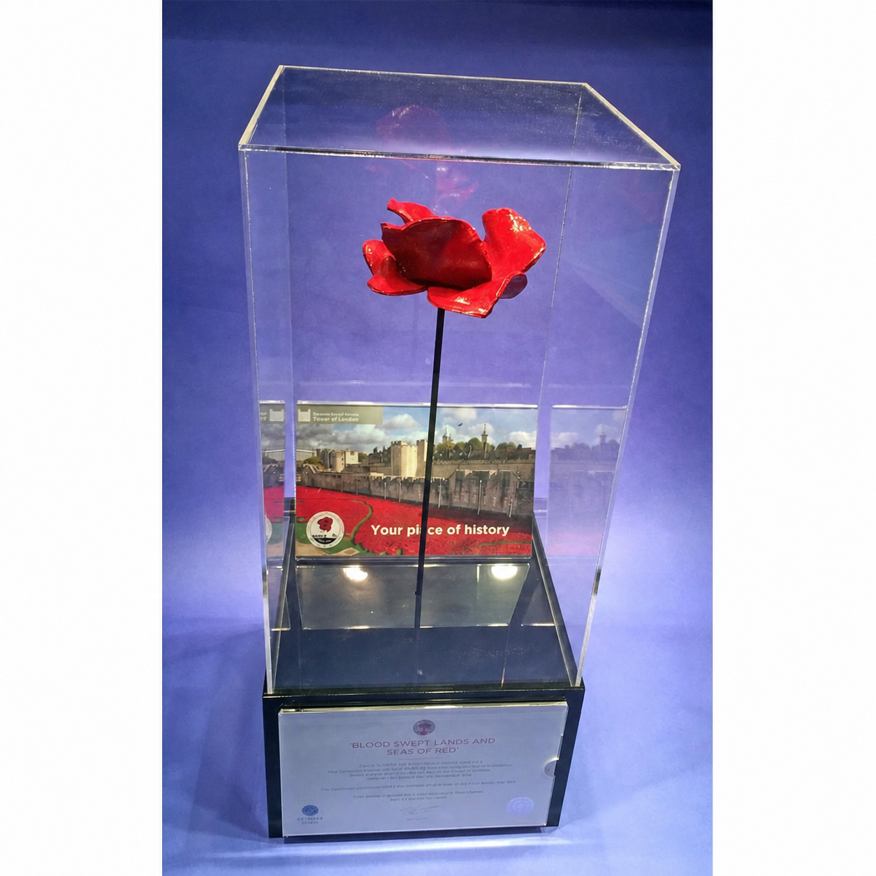 Poppy display case with stem - front angled view