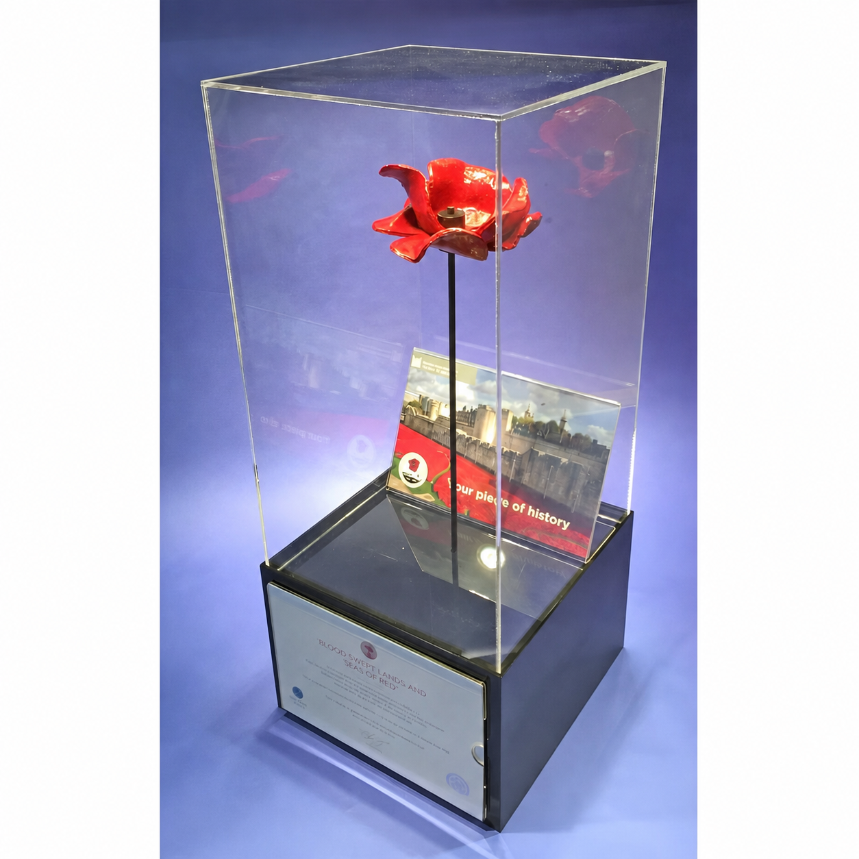 Poppy display case with stem