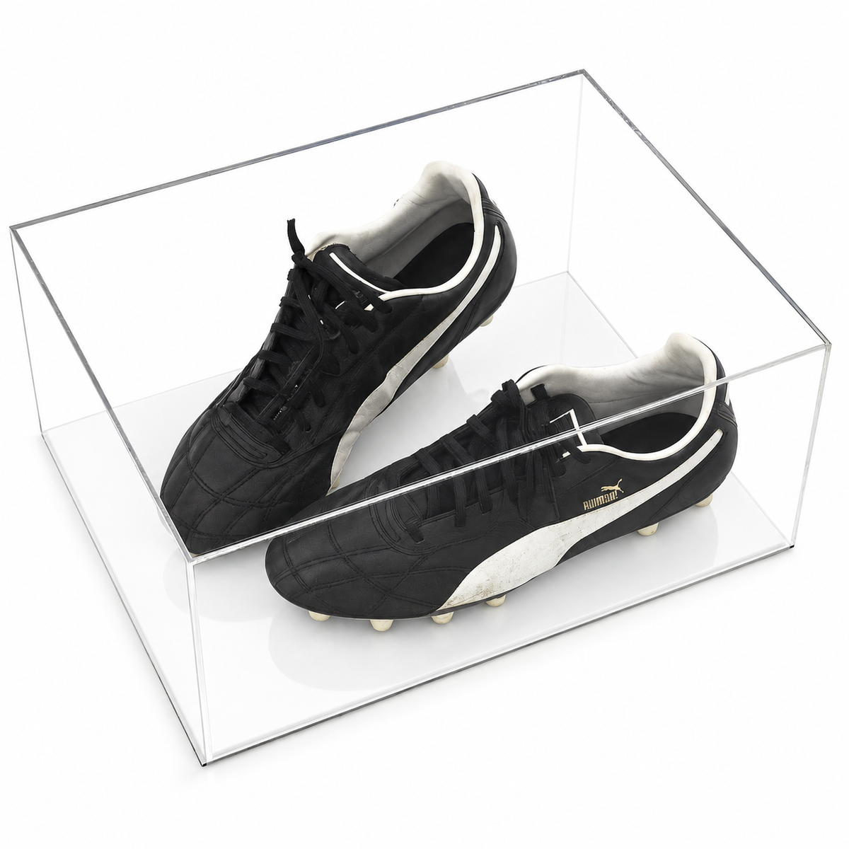 Trainer Display Case - Double with white acrylic base on a white background