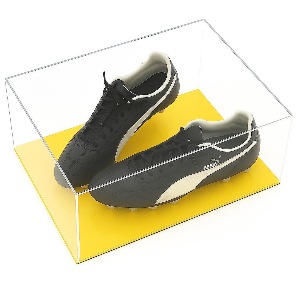 Collectable Display Case (Double) - Colour Base
