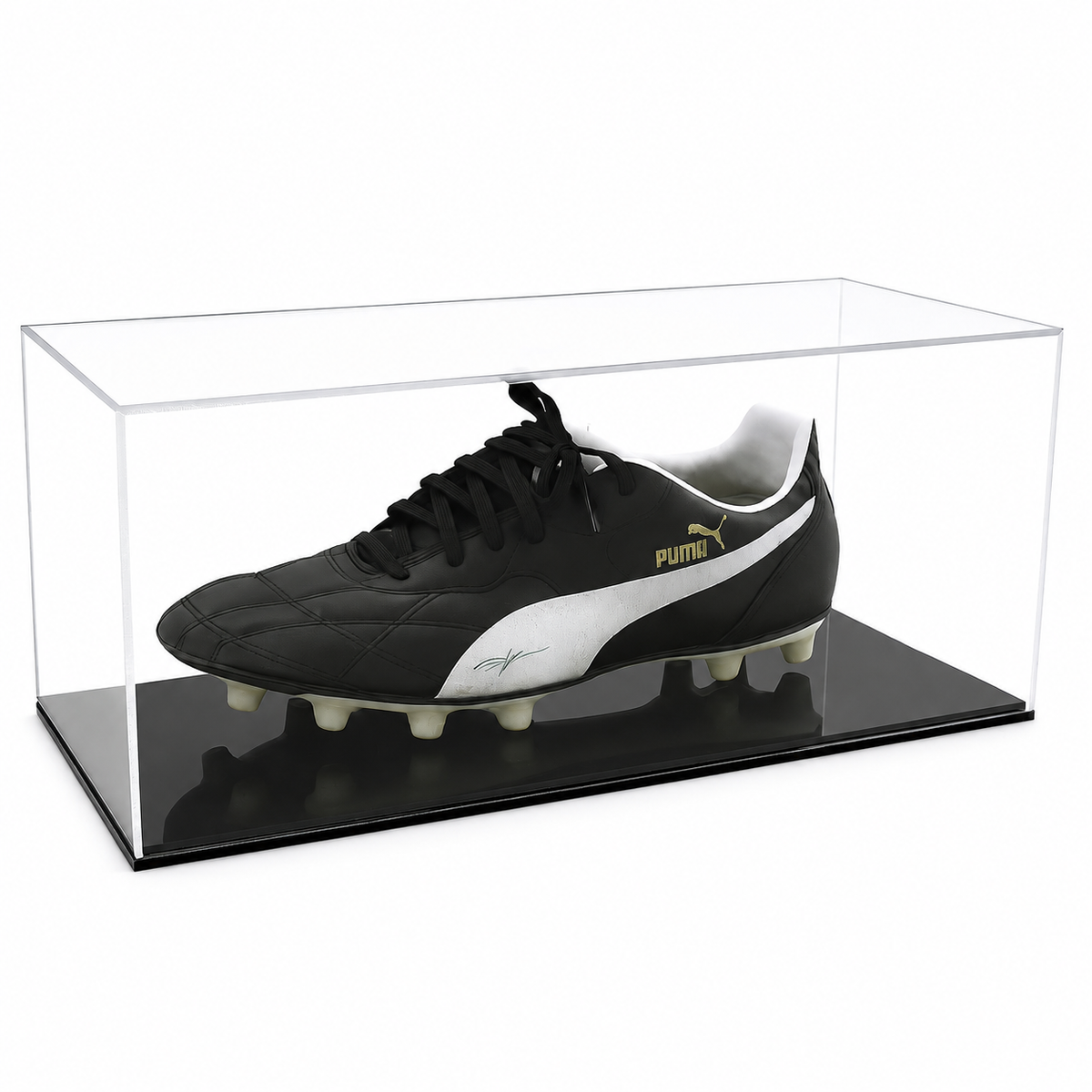 Collectable Shoe Display Case - Single with black acrylic base on a white background