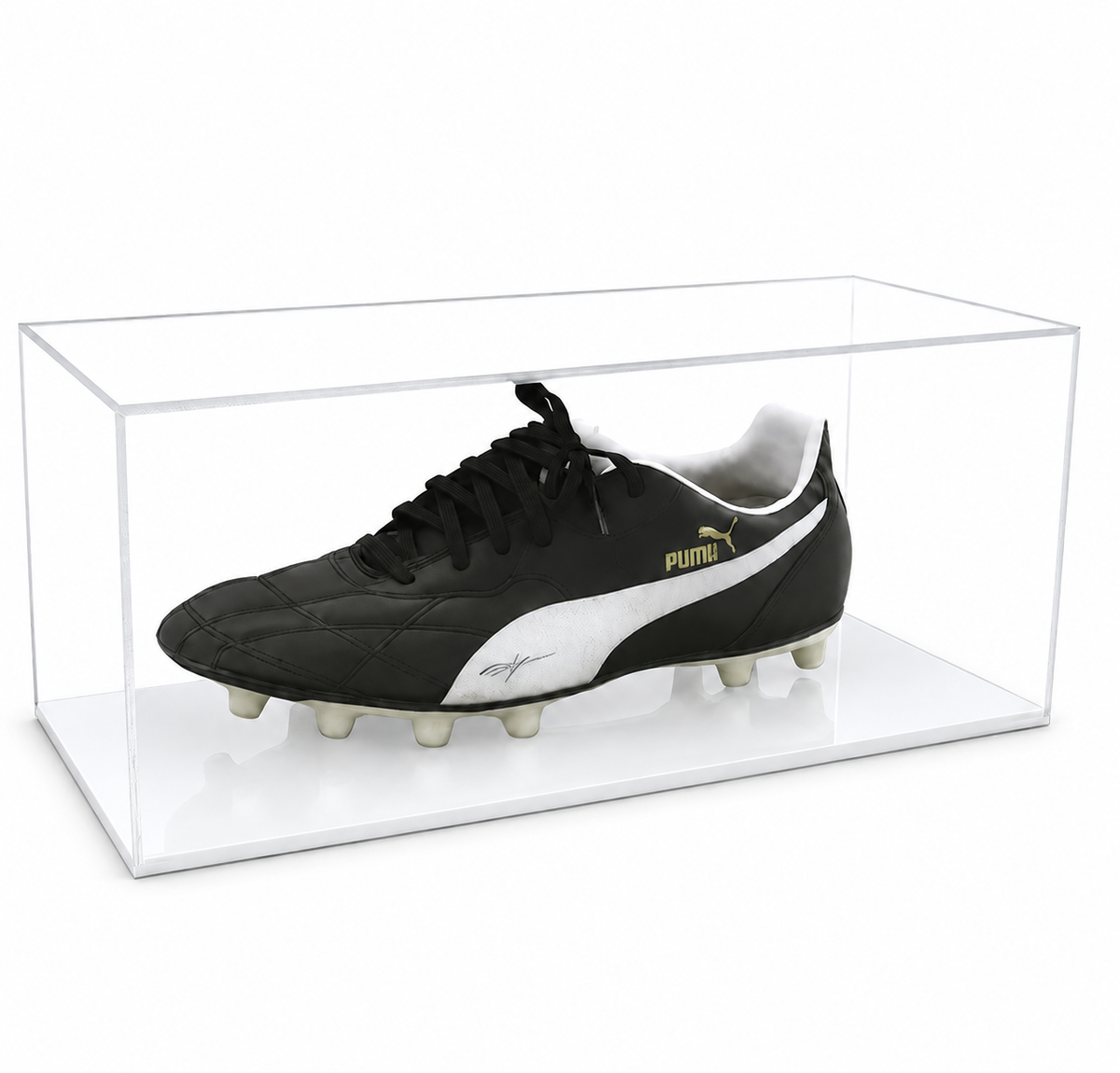 Collectable Shoe Display Case - Single with white acrylic base on a white background