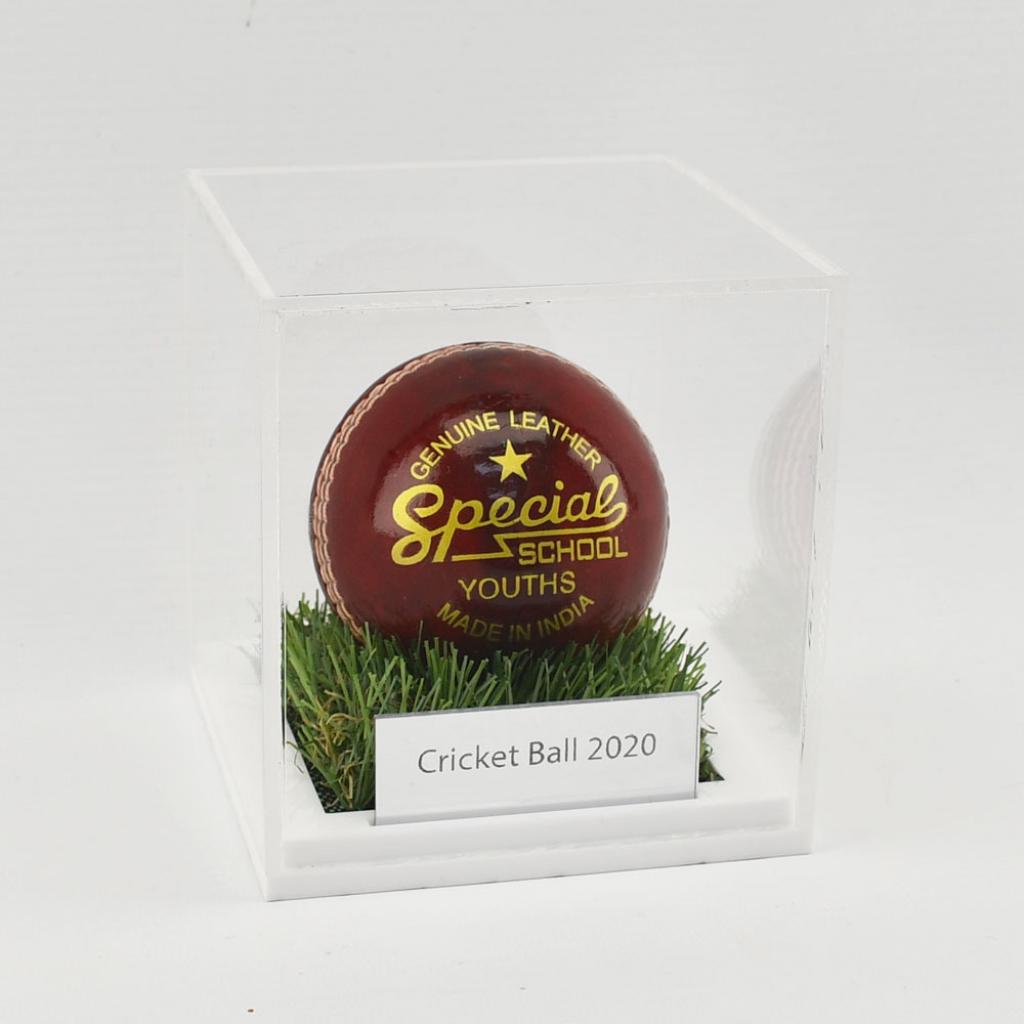 Cricket / Tennis Ball Display Case With Grass Effect Base – additional product view