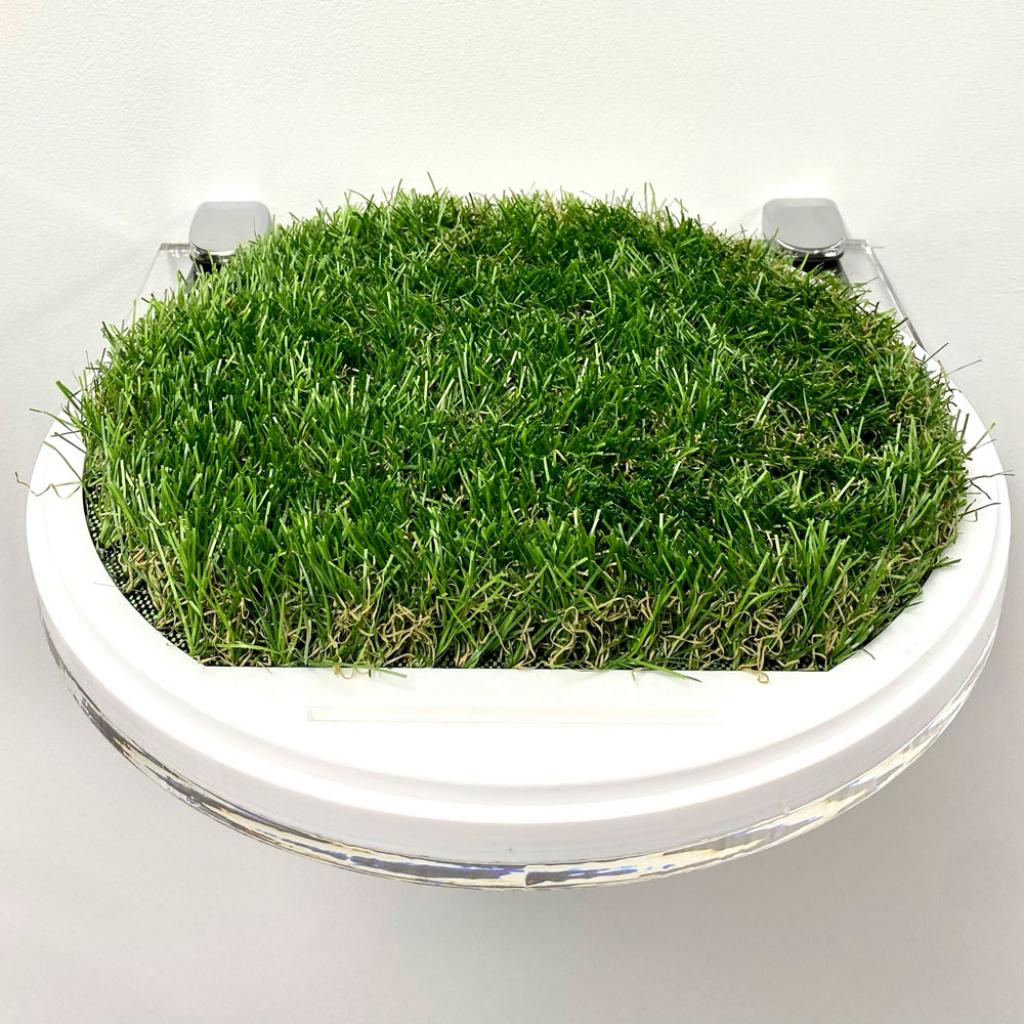Cylindrical Football Display Case - Grass Effect Base – additional product view