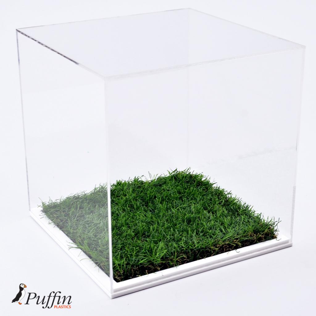 Football Display Case - 10MM White Grass Effect Base – additional product view