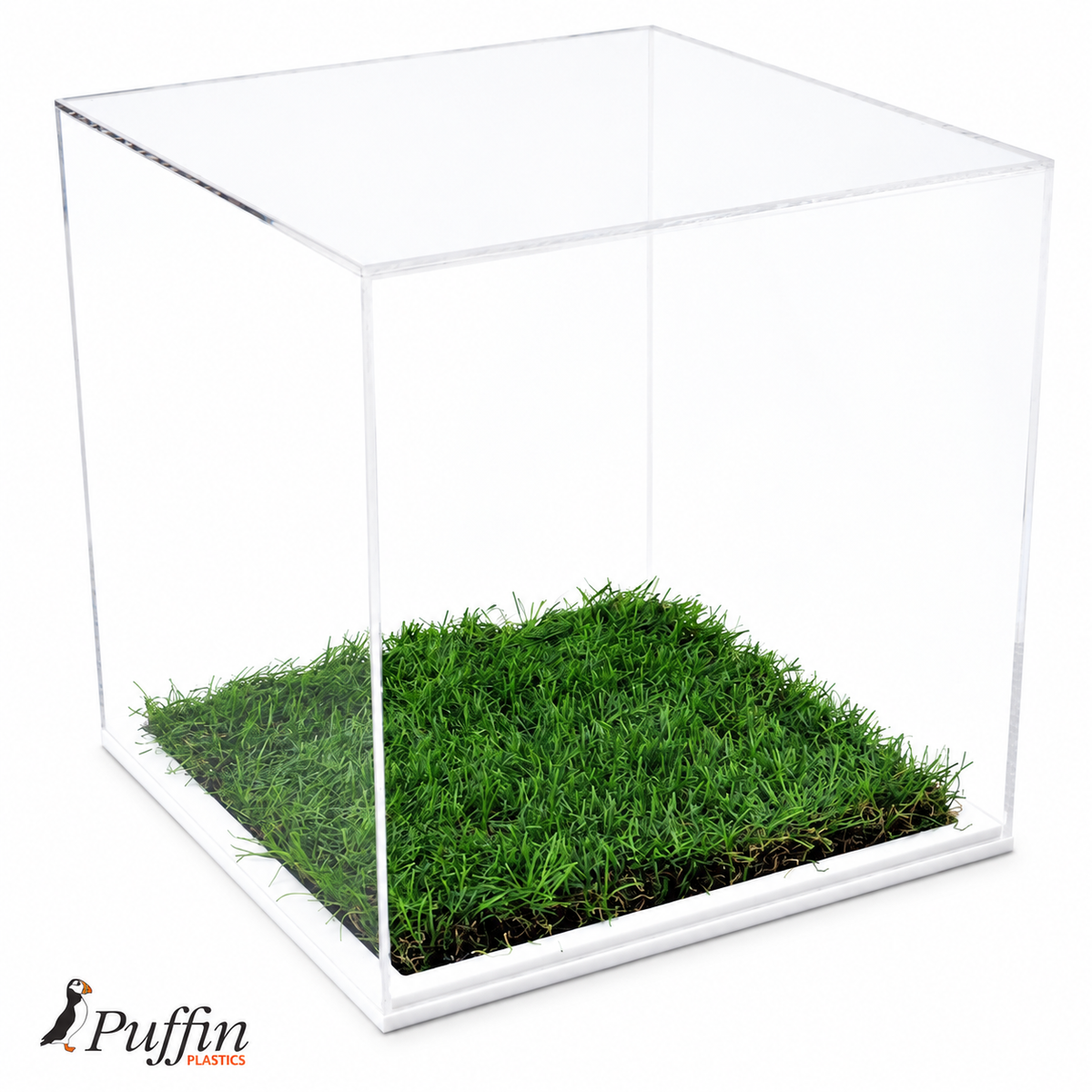 Empty Football Display Case - 10MM White Grass Effect Base on a white background