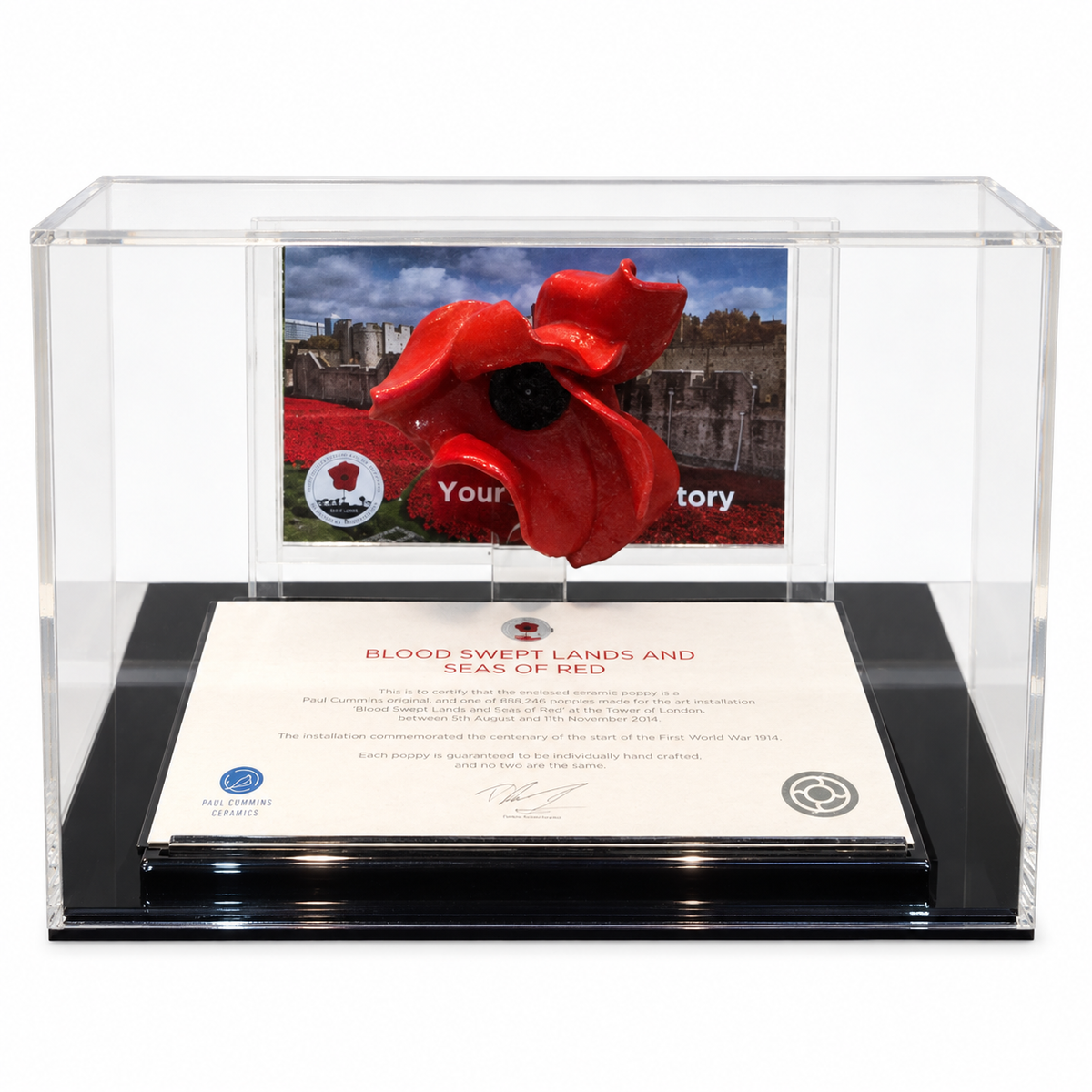 Poppy Display Case with red ceramic poppy and certificate, front view on a white background