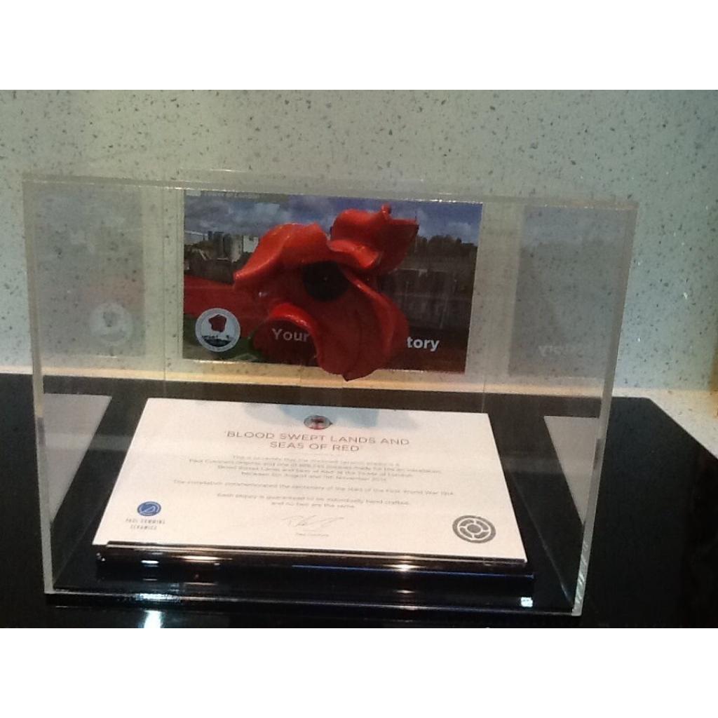 Poppy Display Case – additional product view