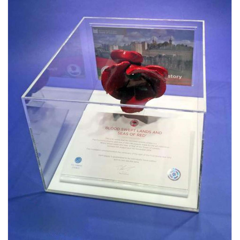 Poppy Display Case - White – additional product view