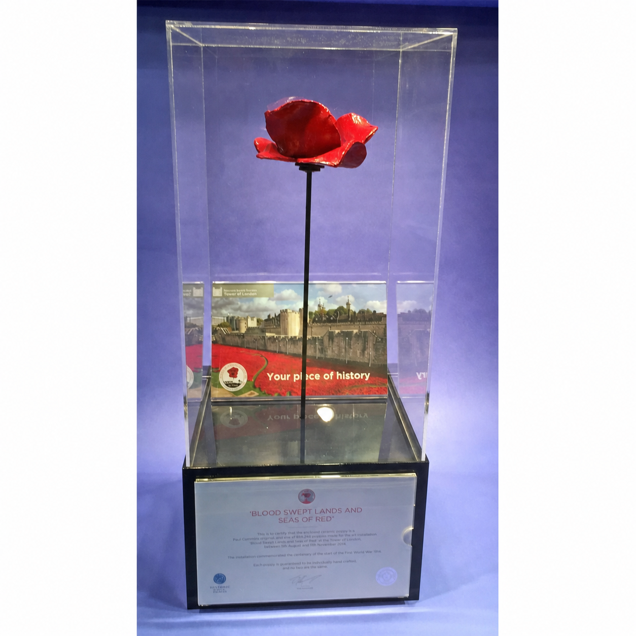 Poppy display case with stem - front view