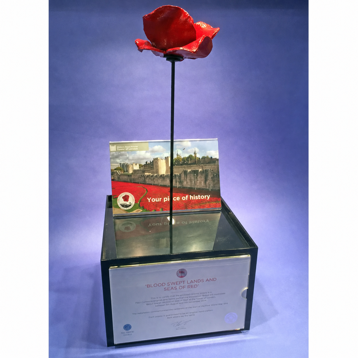Poppy display case with stem and presentation base