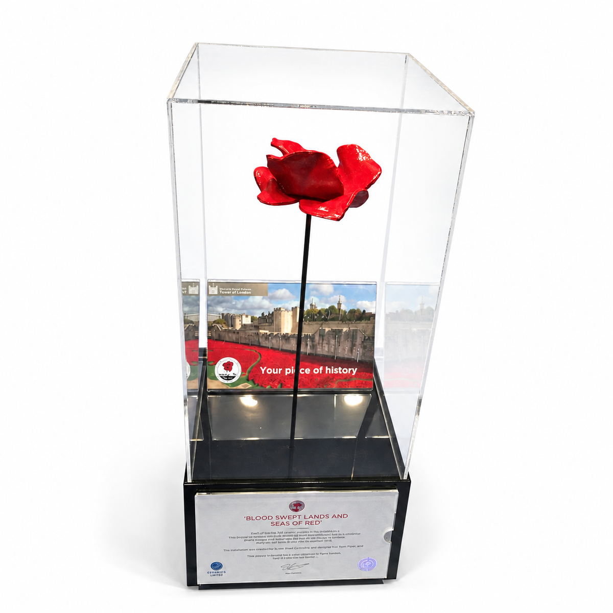 Poppy display case with stem - front angled view on a white background