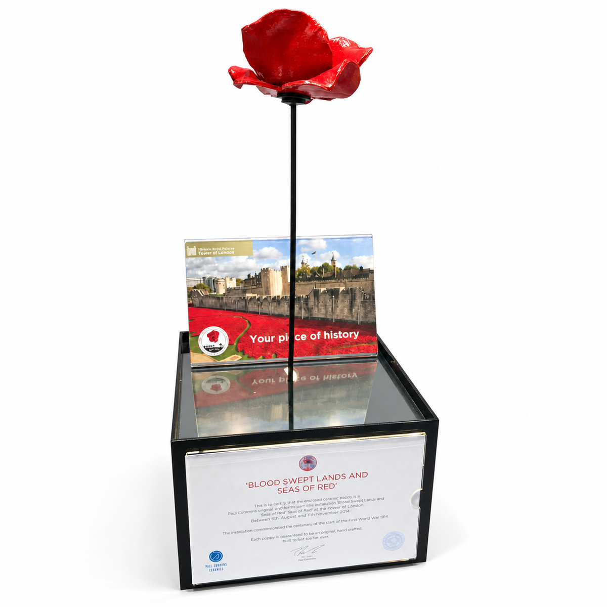 Poppy display case with stem and presentation base on a white background