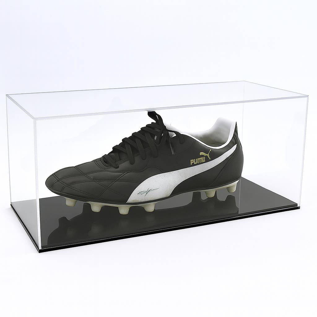Trainer Display Case - Single