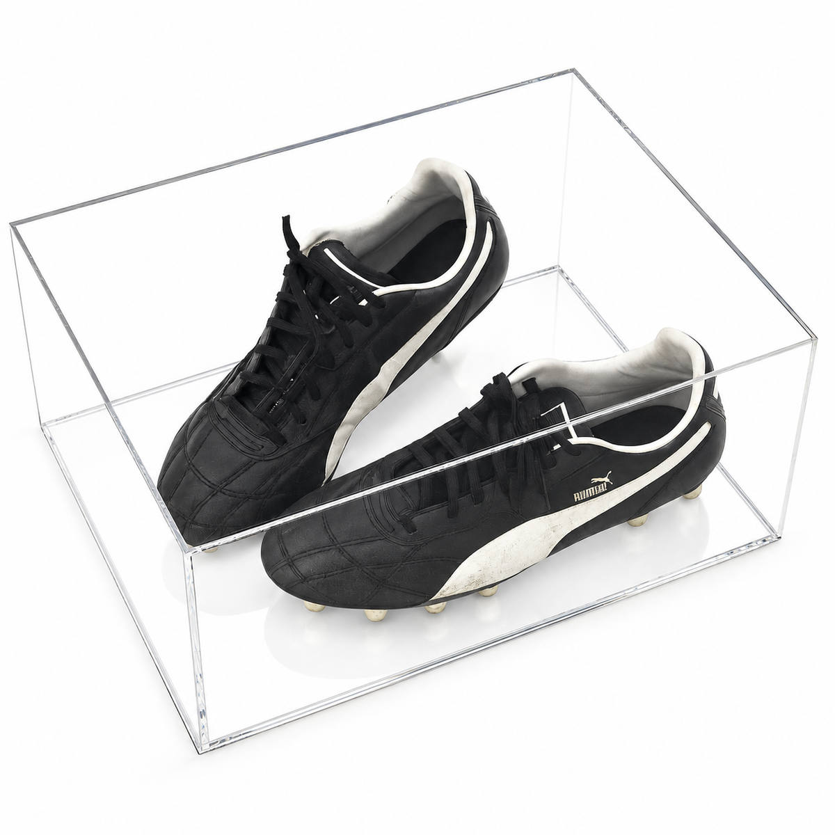 Trainer Display Case - Double with clear acrylic base on a white background