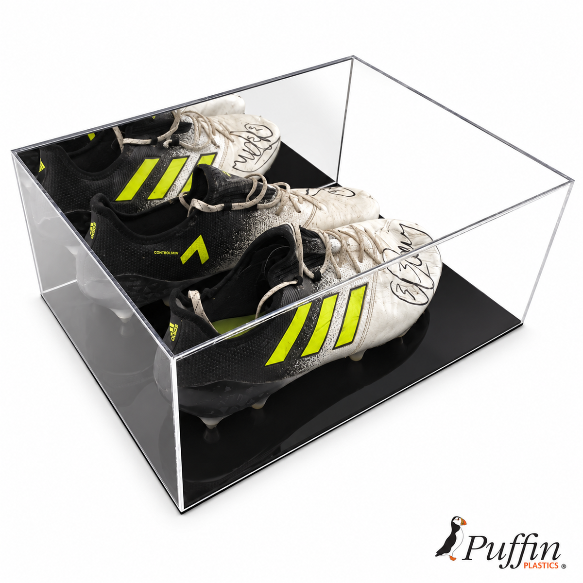 Trainer Display Case (Double) with mirror back and black acrylic base on a white background