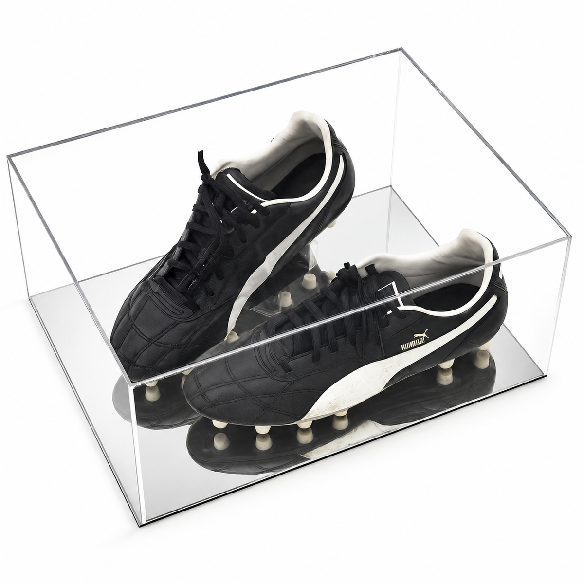 Trainer Display Case - Double with silver mirror base on a white background